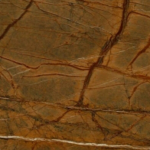 Rainforest Brown