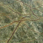 Rainforest Green